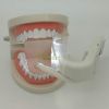 Dental Intraoral Light Mouth Prop Support Bite Block for Saliva Suction Tube Tip