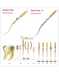 Heat Activation Canal Root Super Files