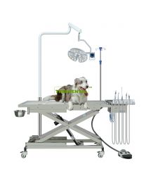 Hot Selling High-quality Veterinary Surgical Table,Operation table for pet clinic