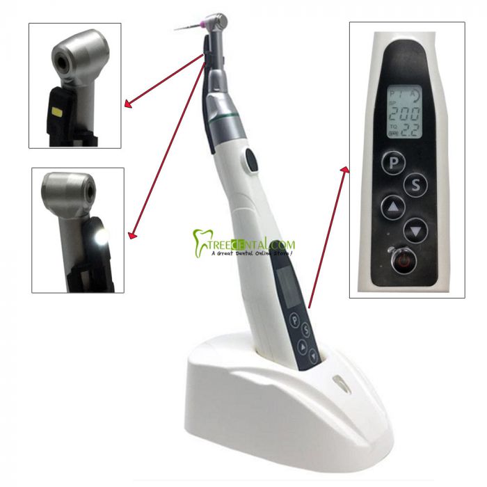 https://www.treedental.com/media/catalog/product/cache/e4d64343b1bc593f1c5348fe05efa4a6/L/E/LED-Light-Wireless-Cordless-Dental-Mini-Endodontic-Endo-Motor-iFine-3.jpg