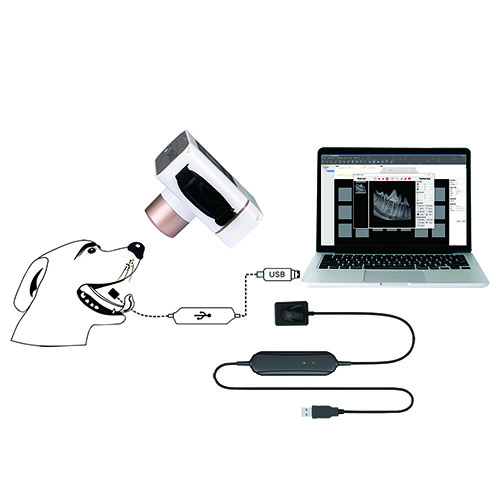 Dental DR Imaging system Intraoral Sensor for pets,Dental X-Ray Machine and USB x-ray sensor