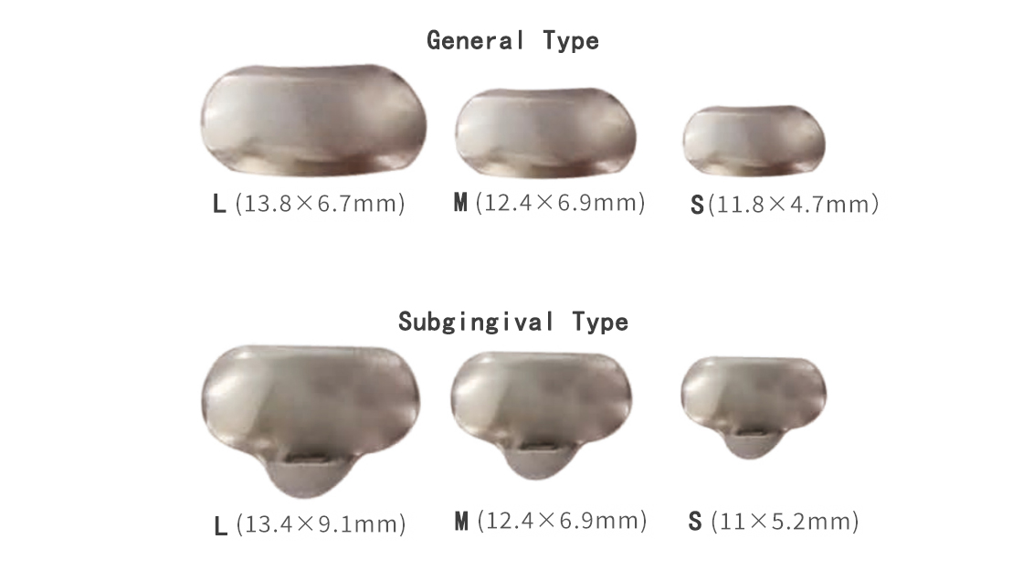 CE Approved Uncoated Stainless Steel Dental Bean Shaped Slice