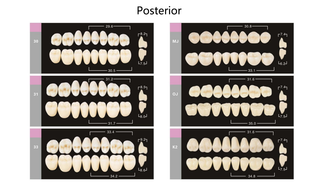 Synthetic Polymer Teeth Synthetic Resin Teeth 3D Elastic Resin Teeth,Dentures False Teeth,Ultramicro Filler Reinforced Polymer Resin，FDA Approved&CE Approved