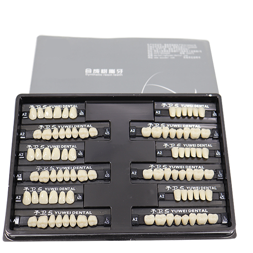 Synthetic Polymer Teeth Synthetic Resin Teeth,Dentures False Teeth,Ultramicro Filler Reinforced Polymer Resin，FDA Approved&CE Approved