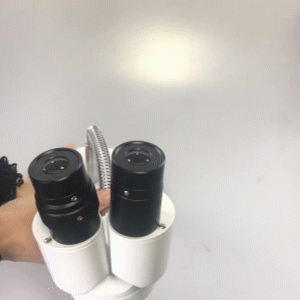 8X Dental Lab Equipment Microscope，Binocular Fixed Power Stereo Microscope